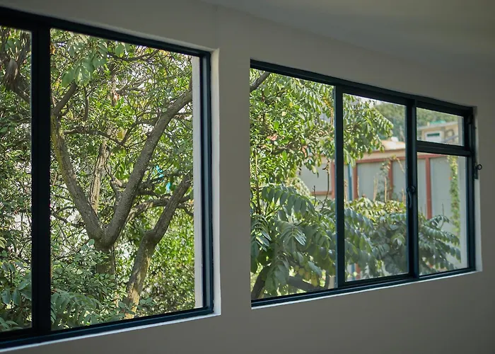 Nuevo Con Vistas A Jardín Cerca De Coyoacán *
