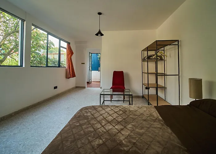 Apartamento Nuevo Con Vistas A Jardín Cerca De Coyoacán *