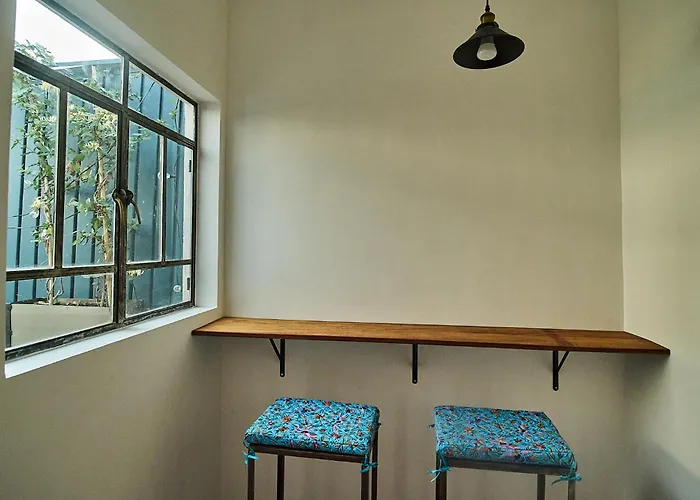Nuevo Con Vistas A Jardín Cerca De Coyoacán México DF