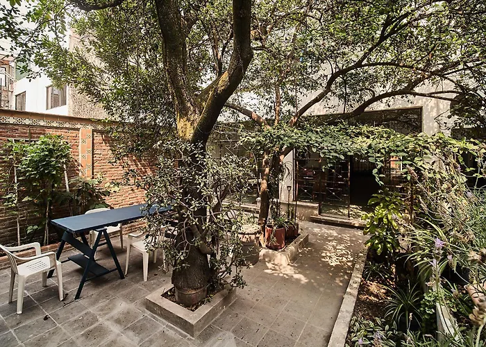 Nuevo Con Vistas A Jardín Cerca De Coyoacán
