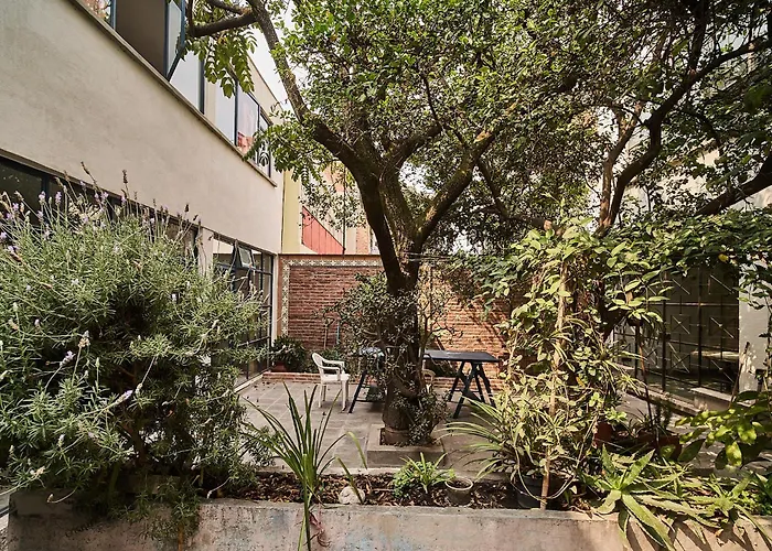 Nuevo Con Vistas A Jardín Cerca De Coyoacán Apartamento